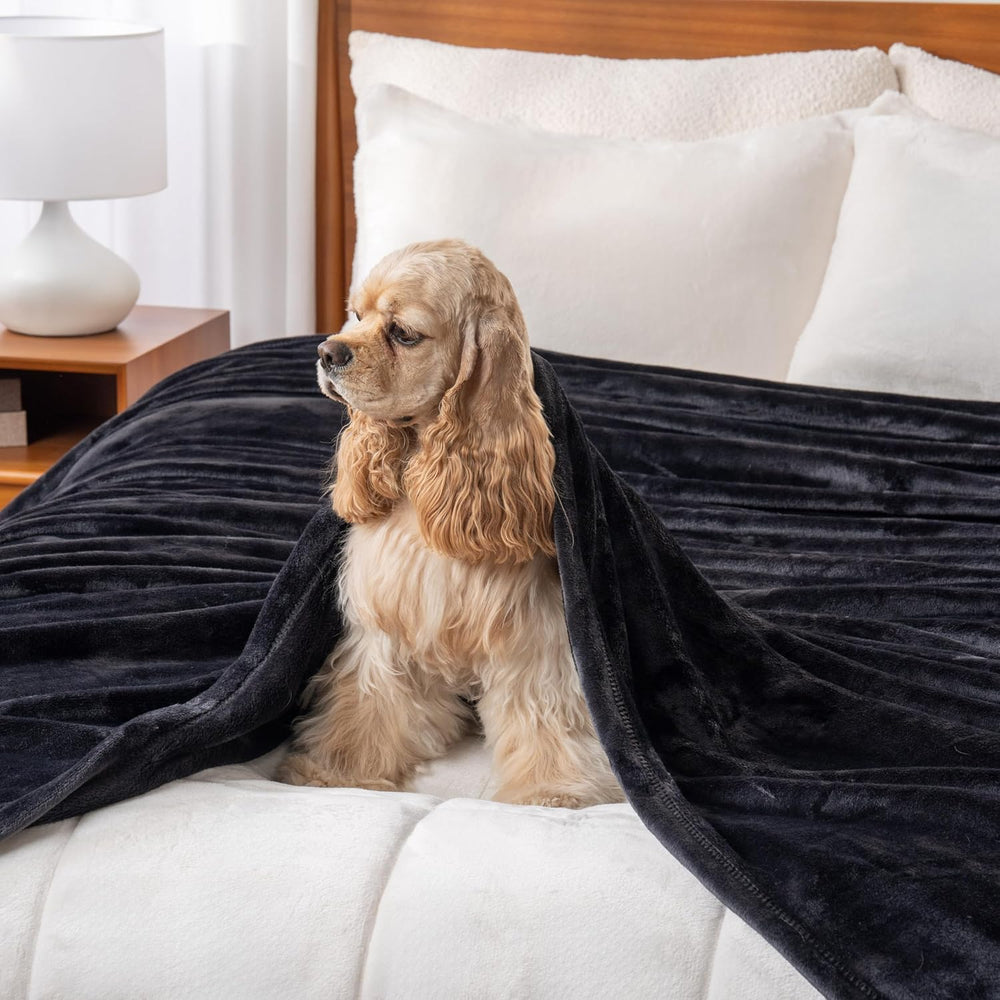 Berkshire Blanket Classic VelvetLoft® Solid Bed Blanket Queen Size,Lightweigh...