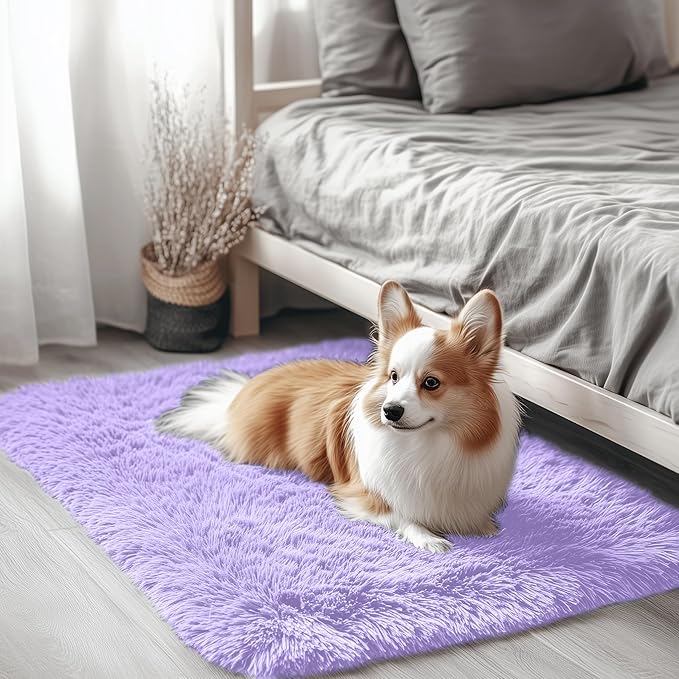 OLANLY 2x3 Machine Washable Small Bedside Rug, Soft Fluffy Shaggy Entryway by OLANLY