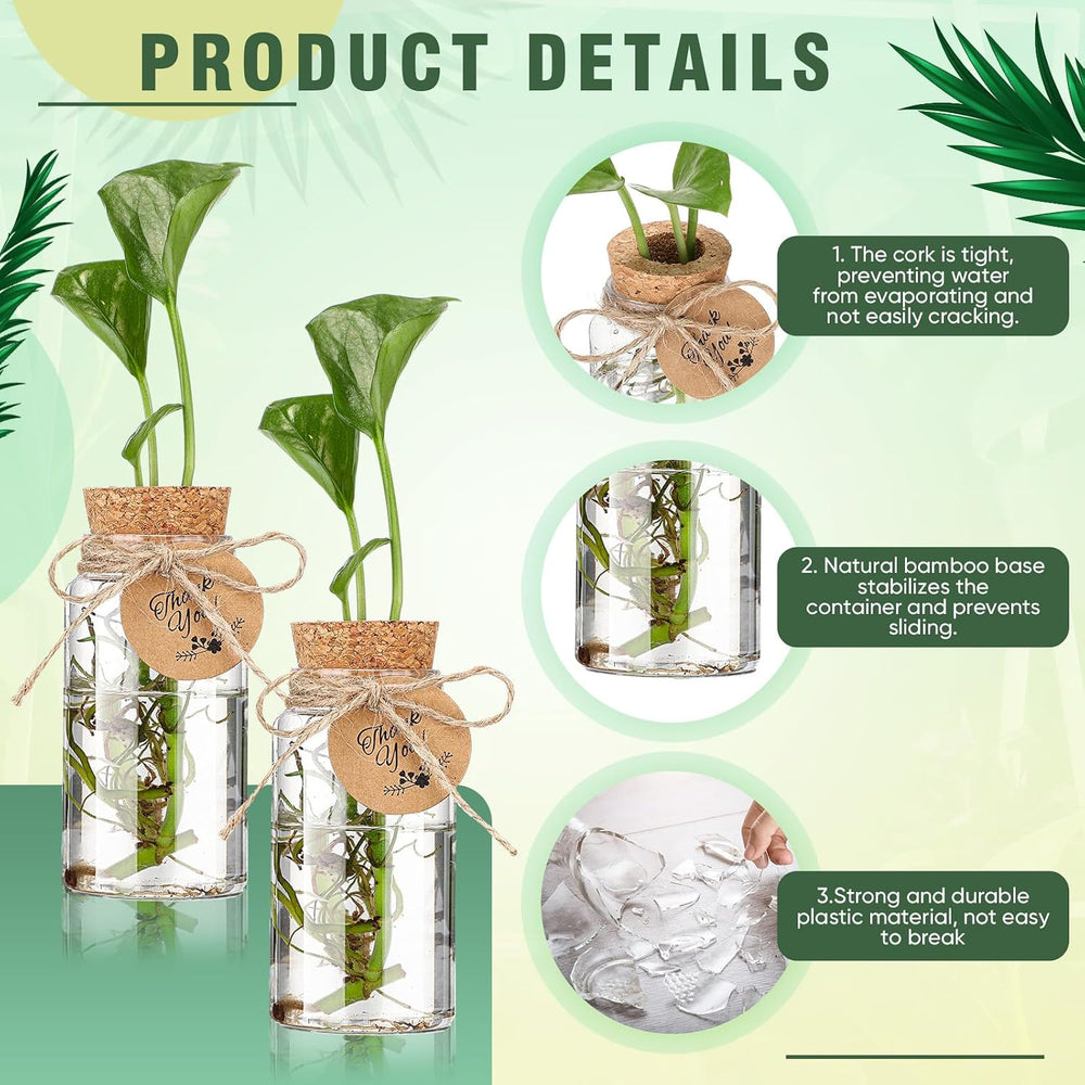 48 Pack 3.54'' Plastic Plant Propagation Stations with Hole Lid