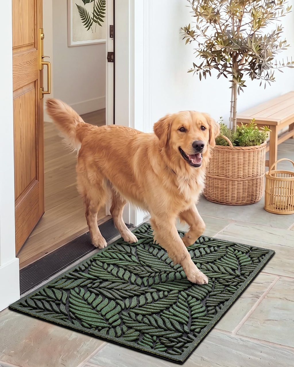 DEXI Front Door Mat Outside Entrance 17x30 Rubber Entry Doormat Green Leave | Heavy Duty Non Slip, Welcome Entryway Mats Dirt Trapping for Exterior Patio Garage, Leaves Design