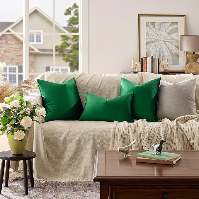 GIGIZAZA Decorative Couch Throw Pillow Covers, Pillow Cases Velvet Pillow Covers - Image 2