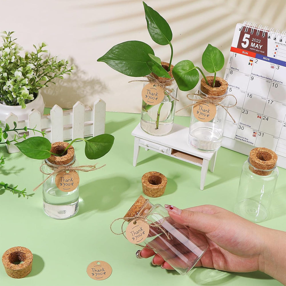 36 Packs Plant Propagation Stations with Hole Lid Clear Plastic Cultivation B...
