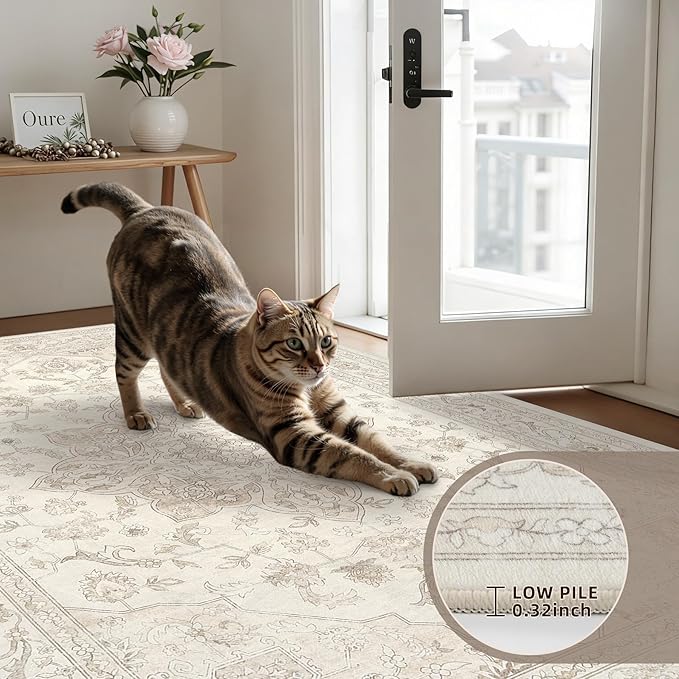 6x9 Area Rugs for Living Room: Vintage Boho Neutral Washable Rug Indoor Soft - Image 7