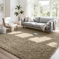 4x6 Area Rugs for Living Room Rug: Soft Fluffy Shag Gray Camel Rugs for Bedroom by CarpetAddColortoYourLife