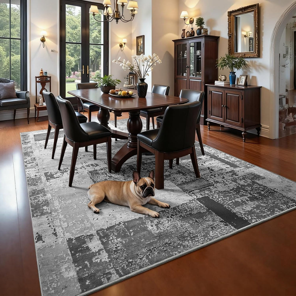 LOCHAS Rug for Living Room 6x9, Washable Soft Area Rugs for Bedroom Grey