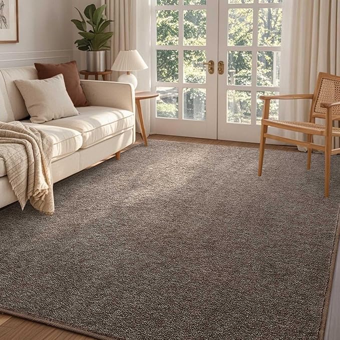 FinRèc 4x6 Washable Area Rugs for Bedroom Living Room, Low Pile Thin Rug Solid by FinRe%CC%80cHome