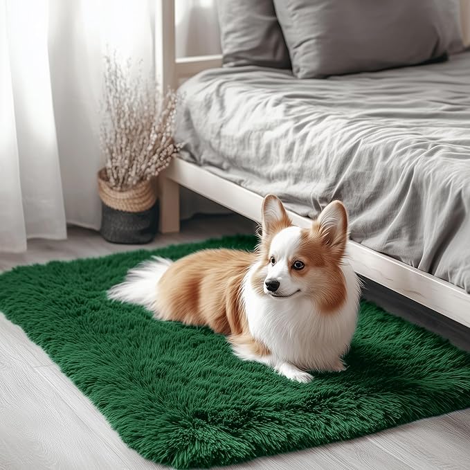 OLANLY 2x3 Machine Washable Small Bedside Rug, Soft Fluffy Shaggy Entryway by OLANLY