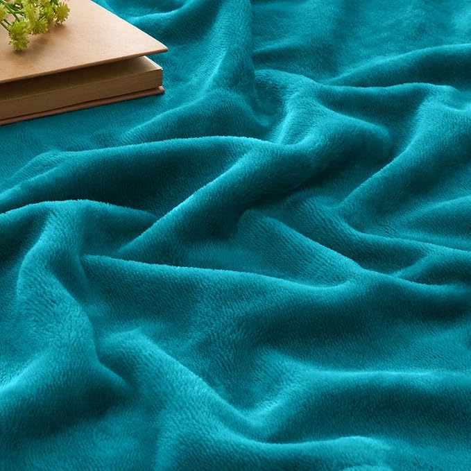 BEDELITE Fleece Blankets Queen Size Bluebird Throw Blankets - Image 4