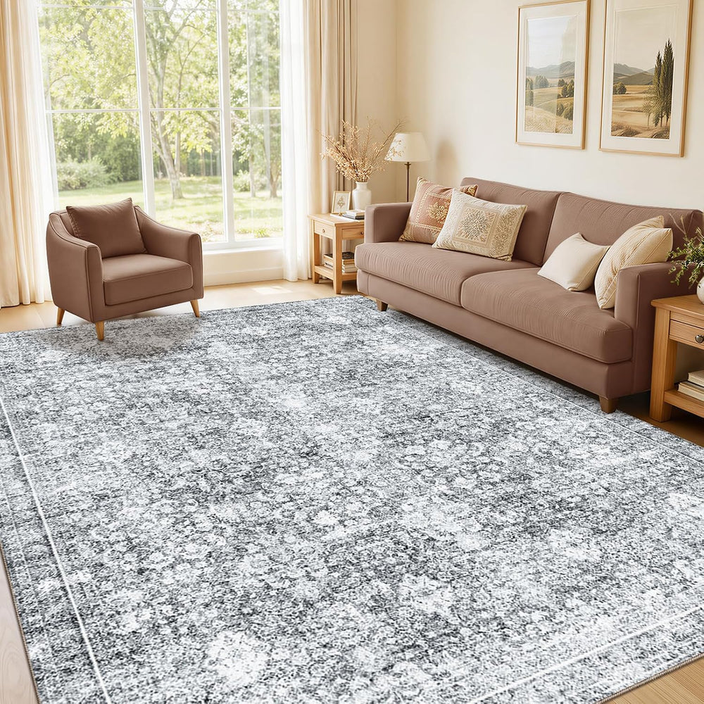 Sasttie 4x6 Area Rugs, Ultra-Soft Washable Rug for Living Room, Light Grey