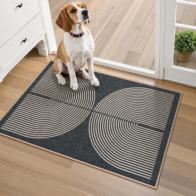 Lahome Enfys Rainbow Indoor Door Mat, Farmhouse Non Slip Non Shedding - Image 6