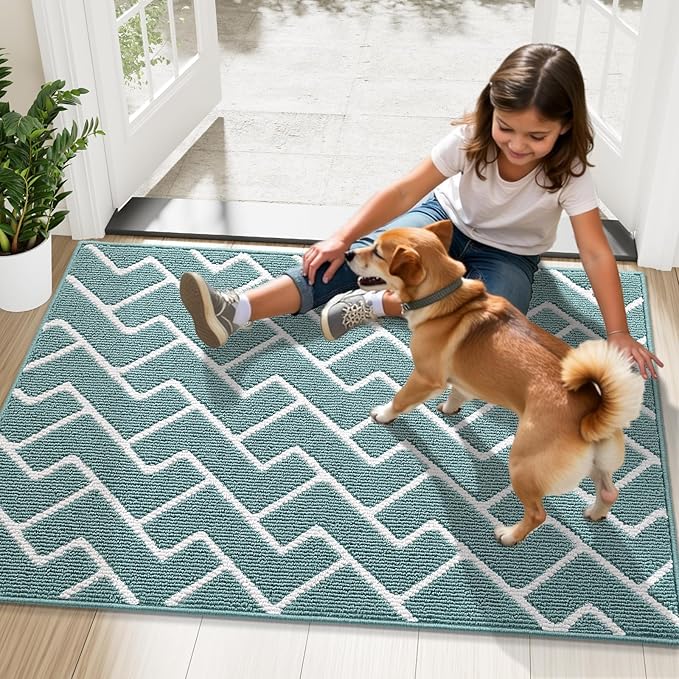 OLANLY Front Door Mat, Non-Slip Rubber Backing, Dirt Resistant and Absorbent - Image 8