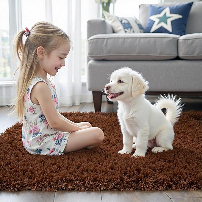 Rugs for Living Room 6x9, Alfombras para Salas Shag Large Plush Soft Area Rug - Image 7