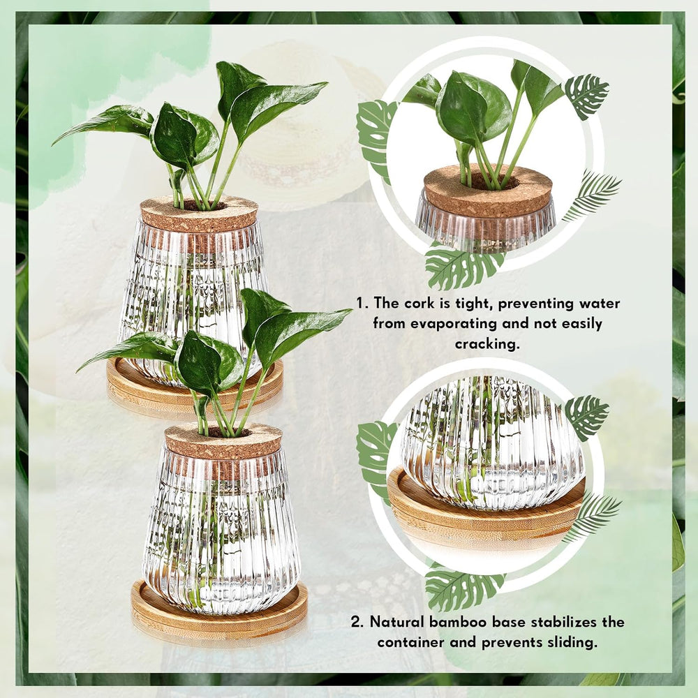 Baderke 12 Pack Propagation Vases for Plants, Vertical Grain Style