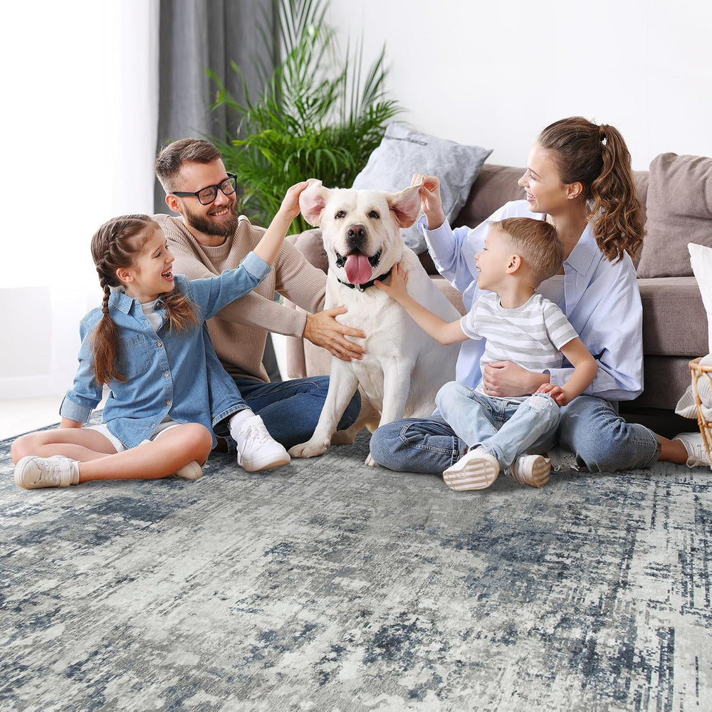 Aelenmu 10x14 Area Rugs for Living Room Dining Room Washable Blue Grey