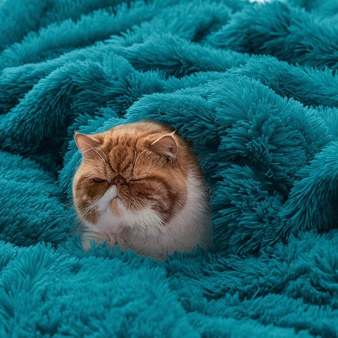 Bedsure GentleSoft Fuzzy Sherpa Faux Fur Twin Blanket Teal Cozy Gifts - Image 5