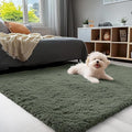 OLANLY 3x5 Machine Washable Small Bedside Rug, Soft Fluffy Shaggy Rugs by OLANLY