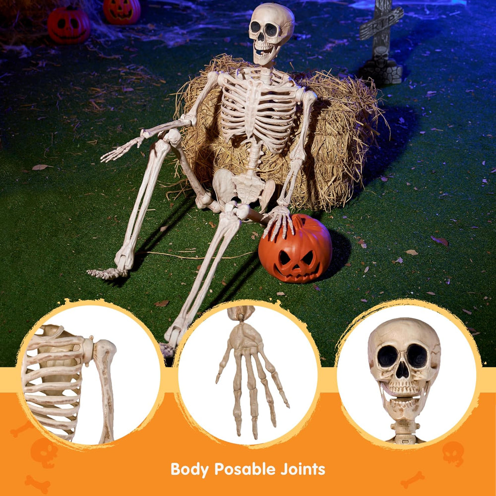 JOYIN 5 FT Halloween Skeleton Life Size, Stayable Posable Skeleton Decor, Ful...