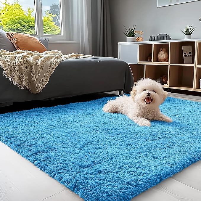 OLANLY 3x5 Machine Washable Small Bedside Rug, Soft Fluffy Shaggy Rugs by OLANLY