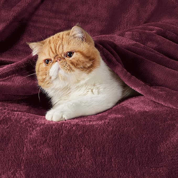 Bedsure GentleSoft Fleece Blanket Twin Size Burgundy - Image 2