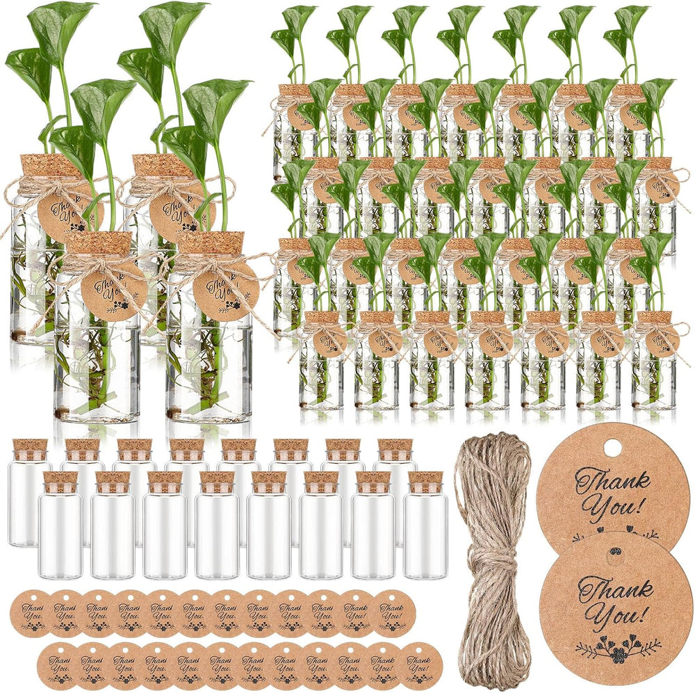 48 Pack 3.54'' Plastic Plant Propagation Stations with Hole Lid