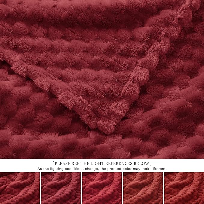 EXQ Home Fleece Blanket Twin Size - Image 4