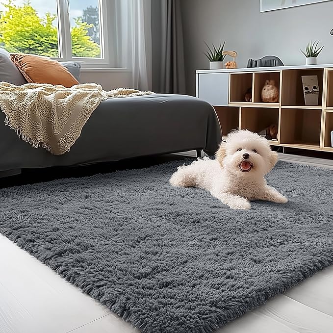 OLANLY 4x5 Machine Washable Accent Rug, Soft Fluffy Shaggy Area Rug by OLANLY