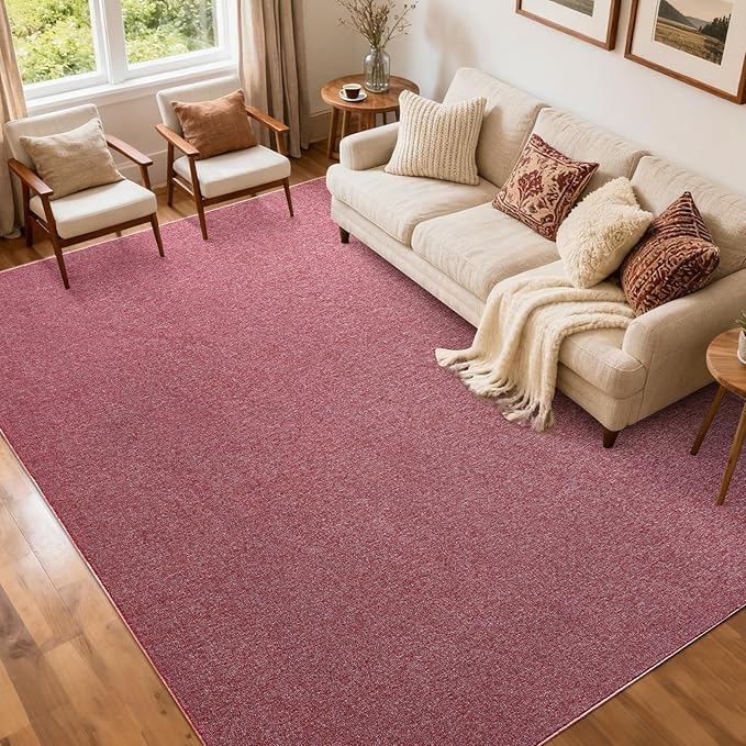 FinRèc 5x7 Washable Area Rugs for Bedroom Living Room, Low Pile Thin Rug Solid by FinRe%CC%80cHome