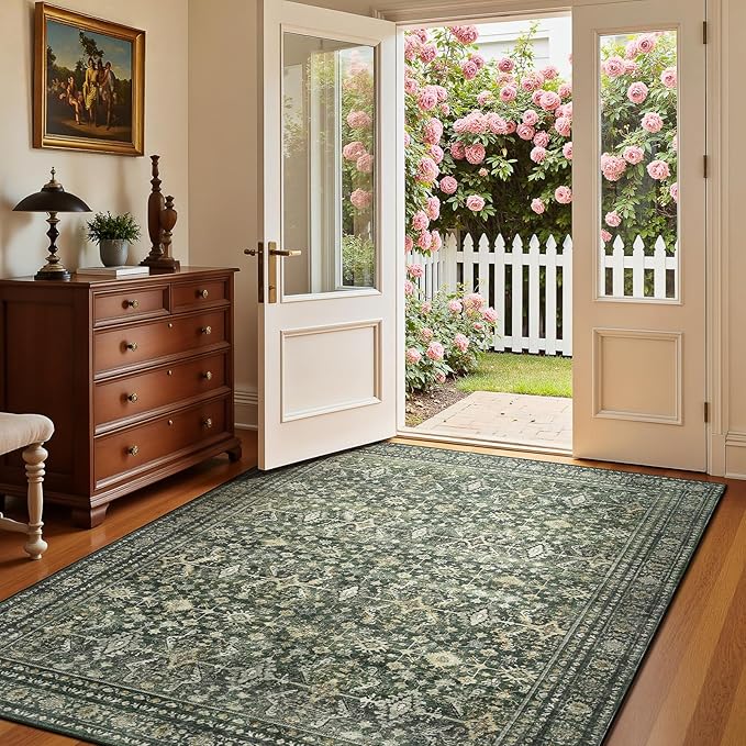 Lofus 4x6 Area Rug for Entryway, Washablee Soft Rugs for Bedroom, Living Room by Lofus