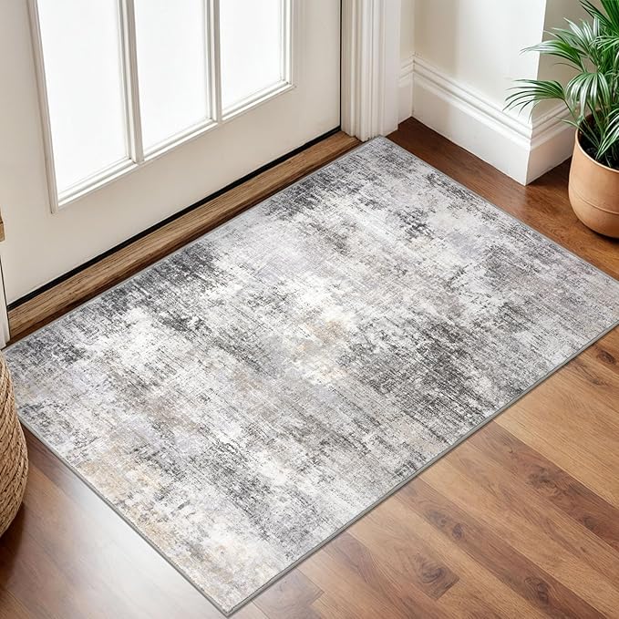 IOHOUZE Small Abstract Area Rug 2x3 Ft Entryway Rugs Washable Door Mat Indoor by iOhouze