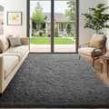 Ophanie 5x7 Area Rugs for Living Room Grey, Fluffy Shag Large Fuzzy Plush Soft by Ophanie