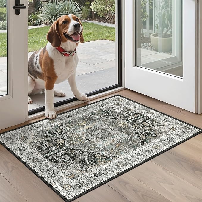 Madane Washable Area Rug 2x3, Small Entryway Rug Non-Slip Vintage Door Mat - Image 2