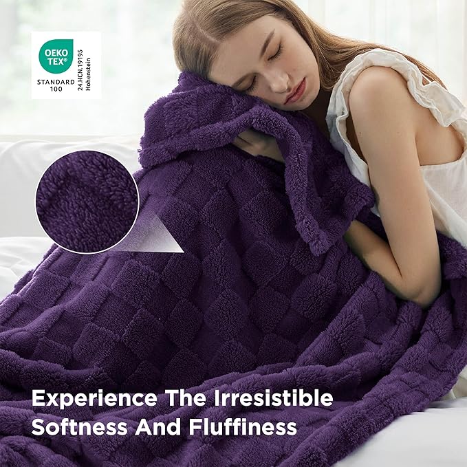 Bedsure GentleSoft Purple Throw Blanket - Image 3