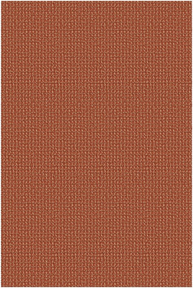 KOZYFLY Indoor Door Mat 2x3 ft Small Area Rugs Washable Front Door Mat Non Slip - Image 9
