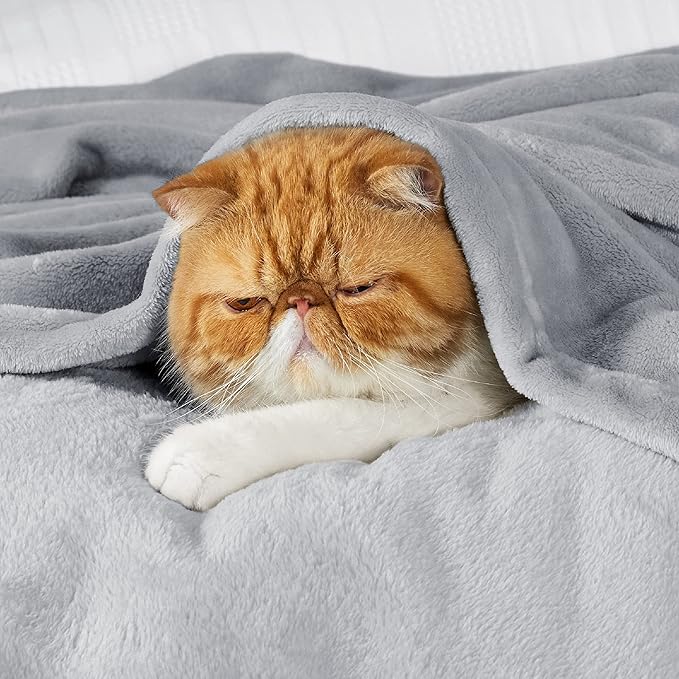Bedsure GentleSoft Fleece Throw Blanket - Image 2