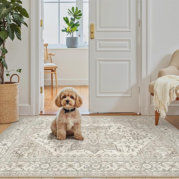 Madane Washable Entry Rug 3x4, Area Rugs - Image 4