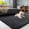 OLANLY 3x4 Machine Washable Accent Rug, Soft Fluffy Shaggy Area Rug by OLANLY