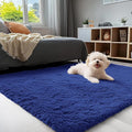 OLANLY 4x5 Machine Washable Accent Rug, Soft Fluffy Shaggy Area Rug by OLANLY