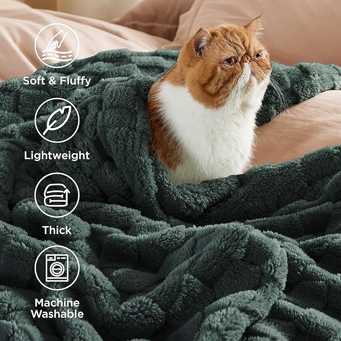 Bedsure GentleSoft King Size Spring Blanket - Image 3
