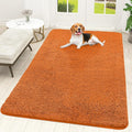 OLANLY Dog Door Mat for Muddy Paws 70x46, Absorbs Moisture and Dirt, Absorbent by OLANLY
