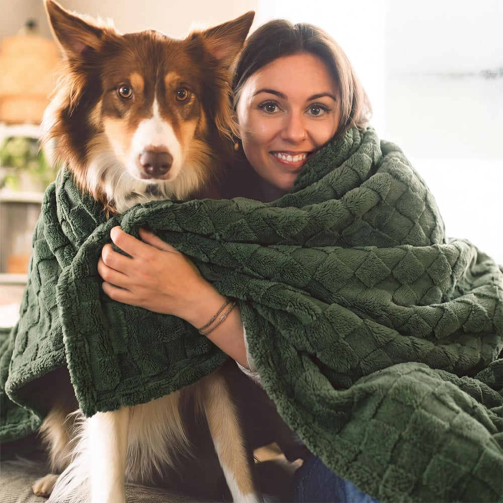 Bedsure Checkered Soft Cozy Queen Blanket for Bed, Olive Green, 90"×90&q...