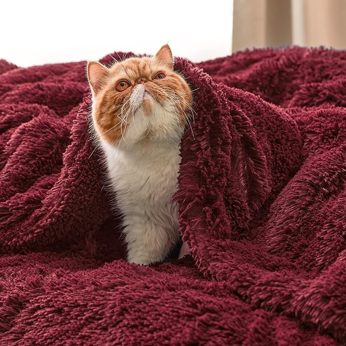 Bedsure GentleSoft Fuzzy Sherpa Faux Fur Twin Blanket Burgundy Red Cozy Gifts - Image 5