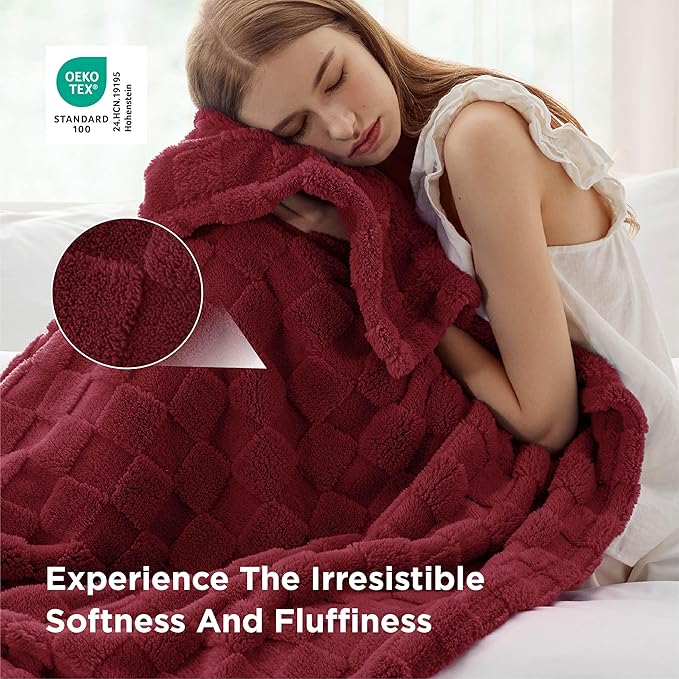 Bedsure GentleSoft Throw Blanket - Image 3