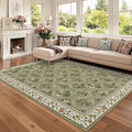 GarveeHome Living Room Rug 5x7 Rug Machine Washable Stain Resistant Area Rug by GarveeHome