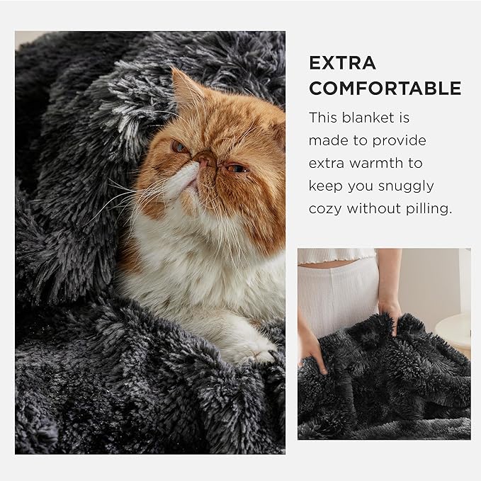 Bedsure GentleSoft Fluffy Black Blanket Cozy Gifts - Image 3