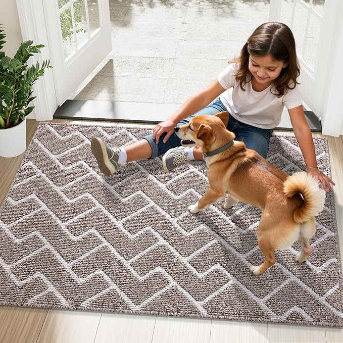 OLANLY Front Door Mat, Non-Slip Rubber Backing, Dirt Resistant and Absorbent - Image 8