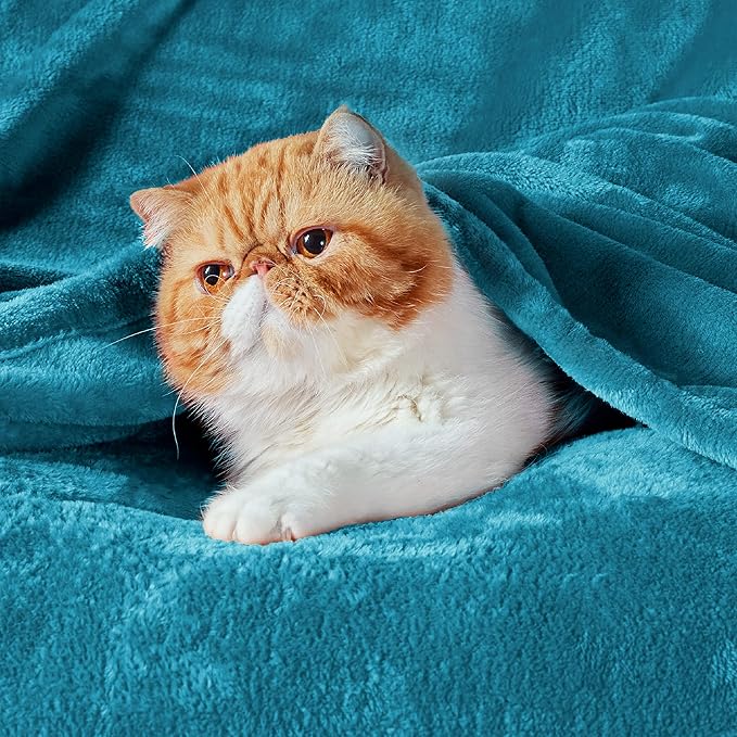 Bedsure Teal Blue Fleece Blanket 50x70 Blanket - Image 2