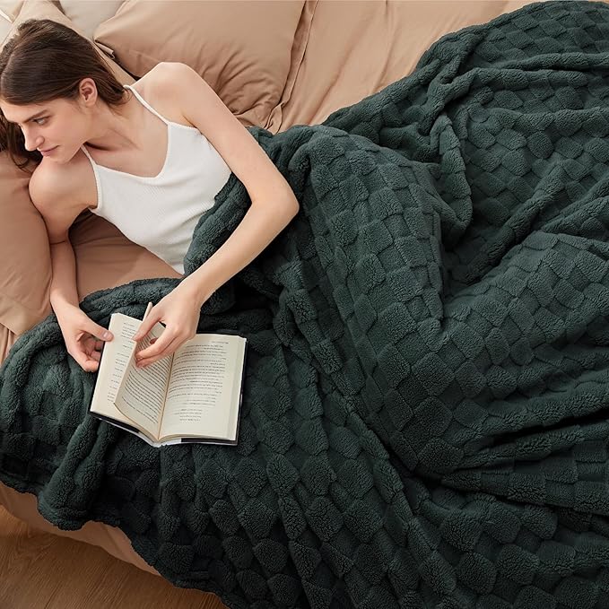 Bedsure GentleSoft Blankets Queen Size - Image 2