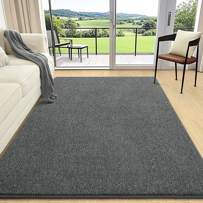AROGAN Washable 4×6 Living Room Rug, Modern Area Rugs - Image 2