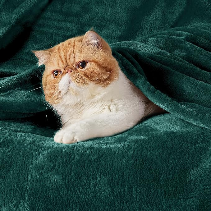 Bedsure GentleSoft Fleece Blankets Queen Size Emerald Green - Image 2