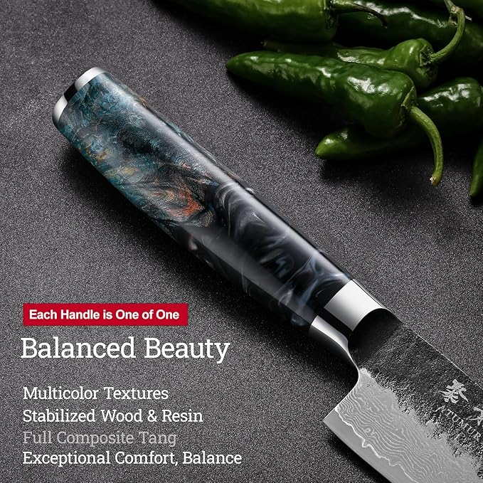 Japanese Chef Knife 8'', Hand Forged 67-Layer Damascus VG10 Core Kitc...